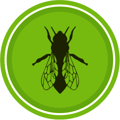 icon fly pest control