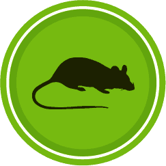 icon rodents pest control