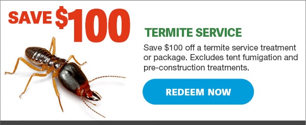 100-dollar-off-termite-extermination-control-services-new
