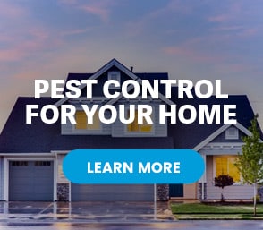 pest-control-for-your-home-split-1