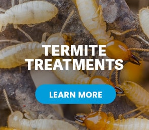termite treatments with call to action