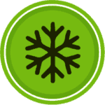 winter-season-pest-control-services-saint-petersburg-2