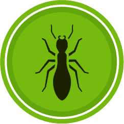 icon of ant pest control