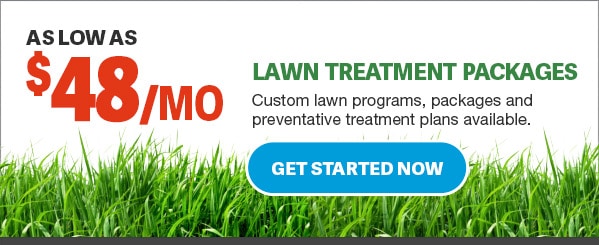 lawn-treatment-services-clearwater-florida