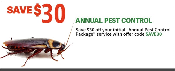 30-dollar-off-annual-pest-control-services-cockroach-2019
