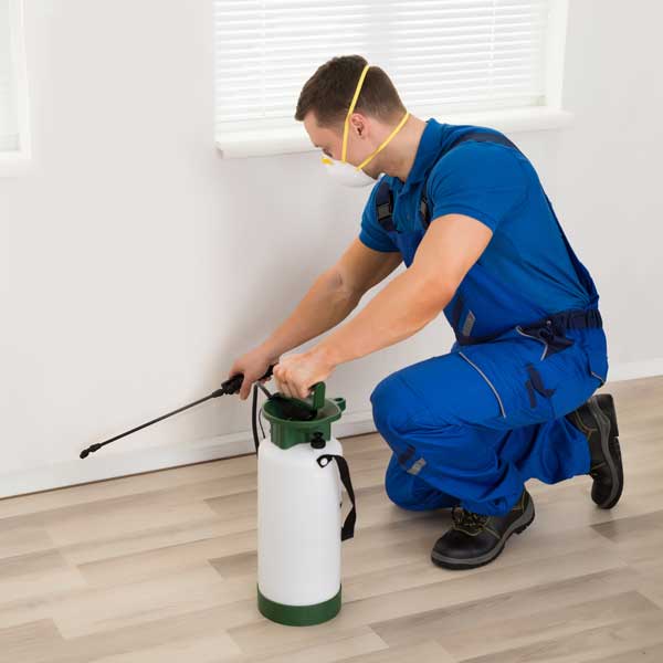 pest-control-service-clearwater