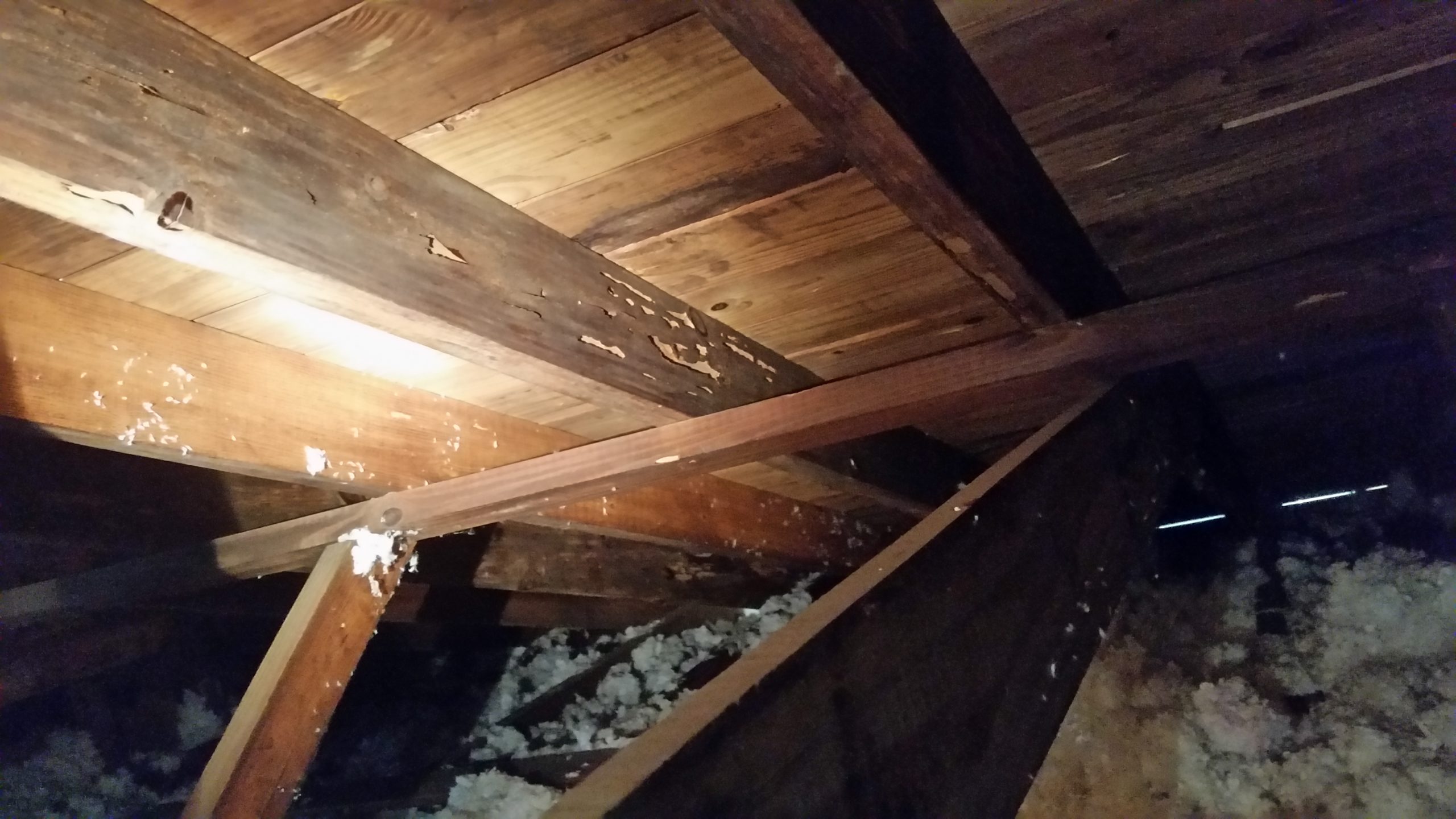 Drywood Termite Damage In Residential Attic