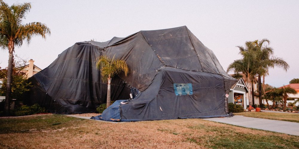 Termite Tent Fumigation