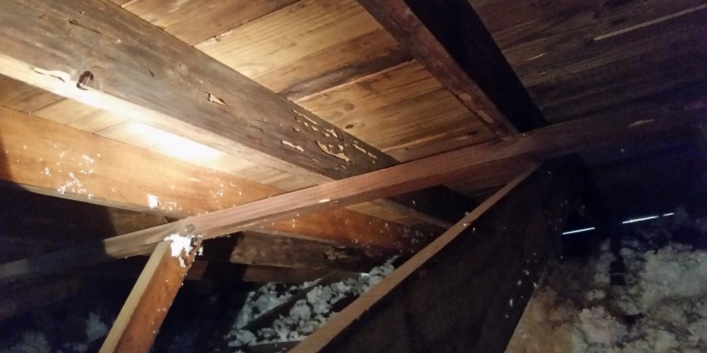 Drywood Termite Damage In Residential Attic