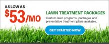 lawn-treatment-services-clearwater-florida-2
