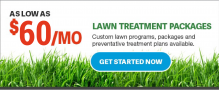 lawn-treatment-services-clearwater-florida-60 per month-01